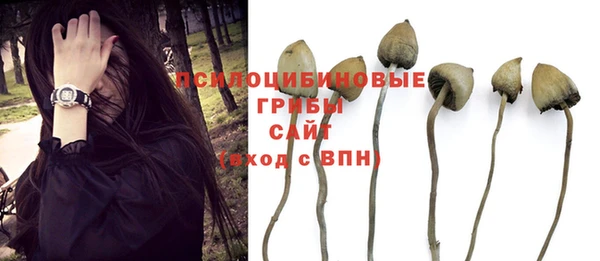 PSILOCYBIN Рославль