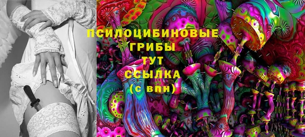 MDMA Богородицк