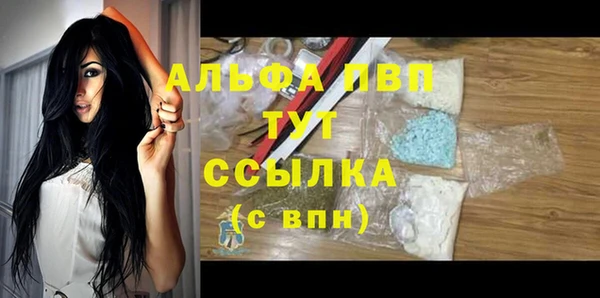 твердый Ростов
