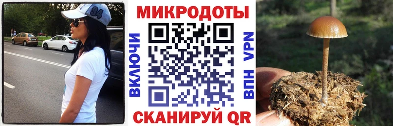 Галлюциногенные грибы мицелий  Верхний Уфалей 